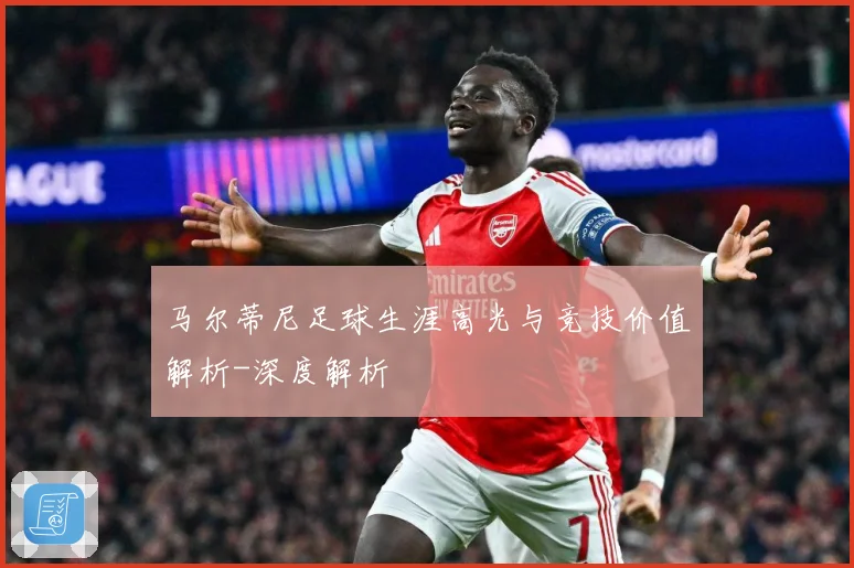 马尔蒂尼足球生涯高光与竞技价值解析-深度解析
