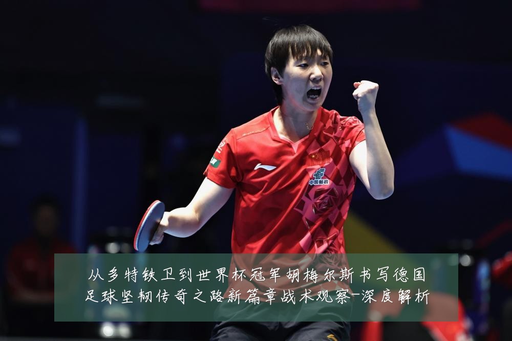 从多特铁卫到世界杯冠军胡梅尔斯书写德国足球坚韧传奇之路新篇章战术观察-深度解析